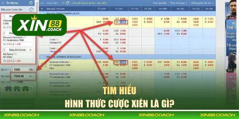 Hình thức cược xiên là gì?